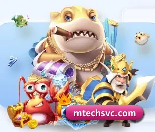 完美网页版围绕看球场景设计的核心服务