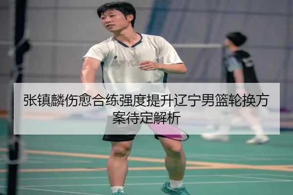 张镇麟伤愈合练强度提升辽宁男篮轮换方案待定解析